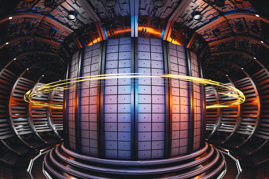 "Interior of a tokamak fusion reactor"