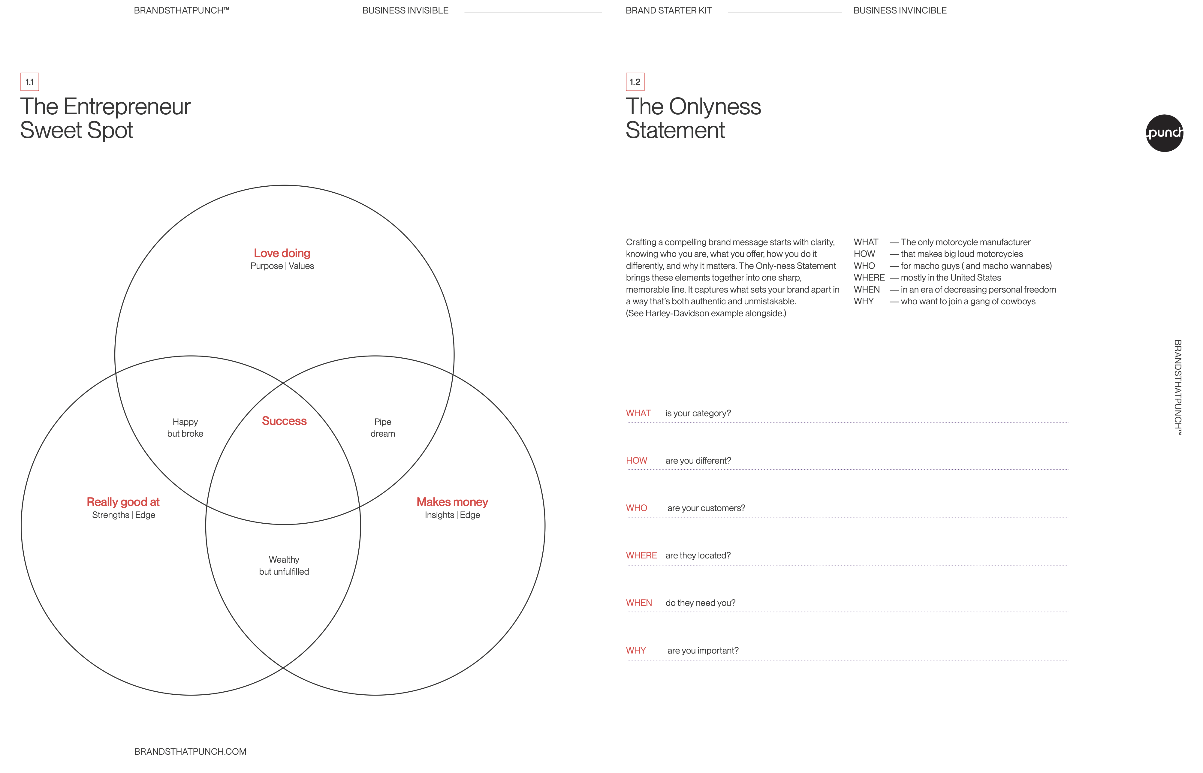 The Entrepreneur Sweet Spot & Onlyness Framework