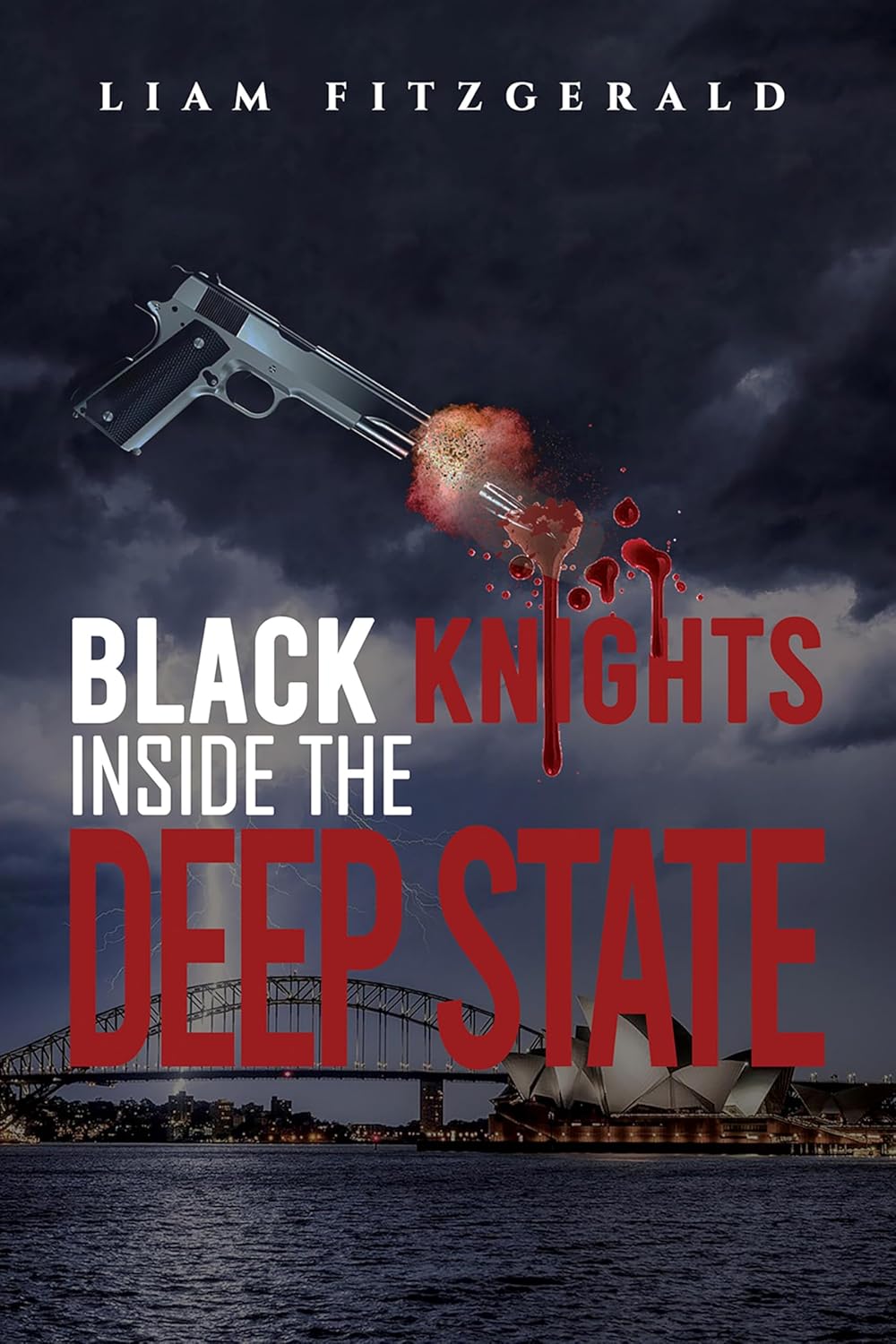 Cover of  Liam Fitzgerald's book Black Knights Inside the Deep State.