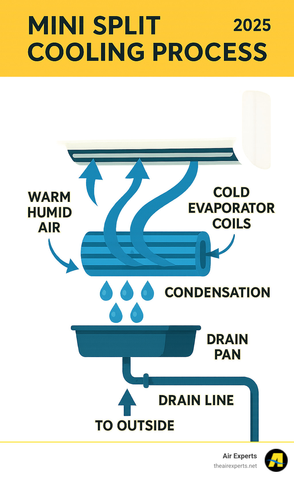 Detailed infographic showing the mini split cooling process: warm humid air enters the indoor unit, passes over cold evaporator coils where moisture condenses into water droplets, condensation collects in drain pan and flows through drain line to outside, with arrows showing airflow and water drainage paths - Mini split leaking water infographic 