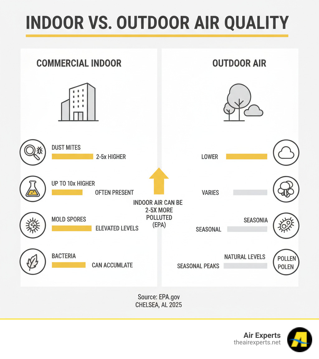 Infographic showing comparison of indoor air pollutants versus outdoor air quality with statistics on dust mites, VOCs, mold spores, bacteria, and pollen levels in commercial buildings versus outside air - commercial indoor air quality chelsea al infographic 