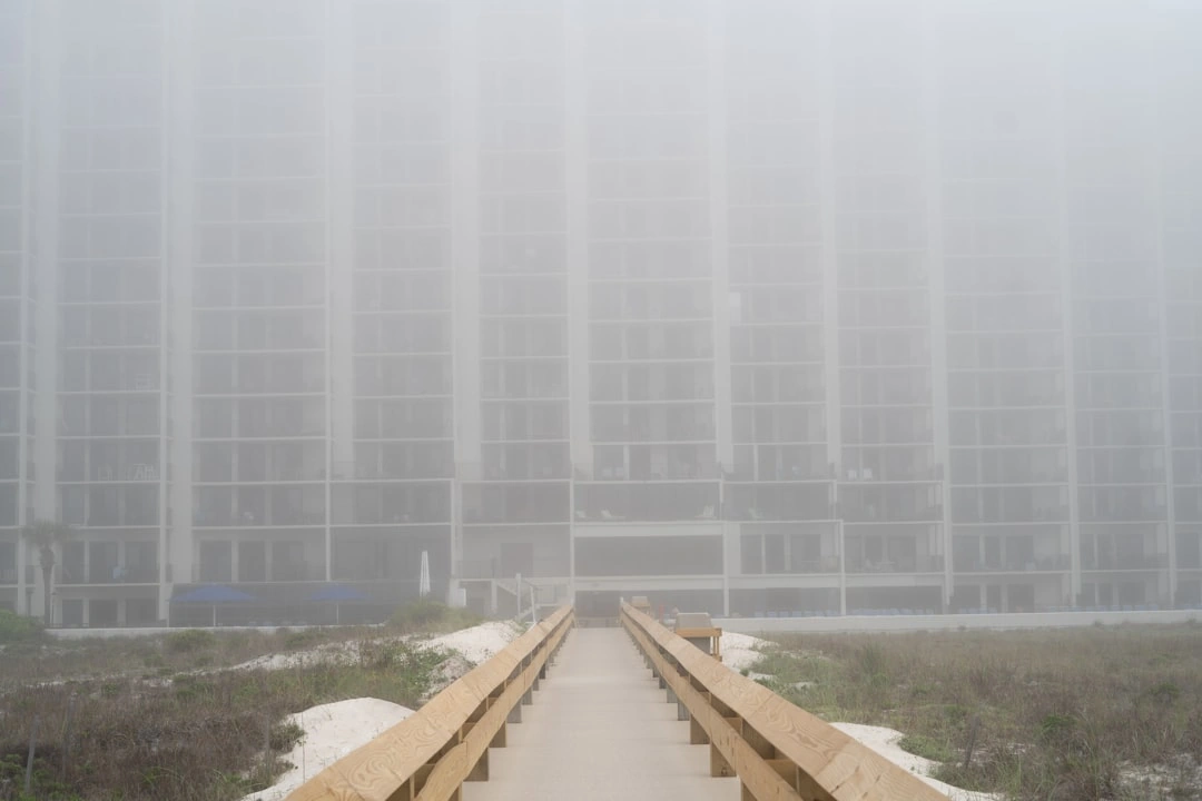 The Birmingham Guide to Not Living in a Swamp