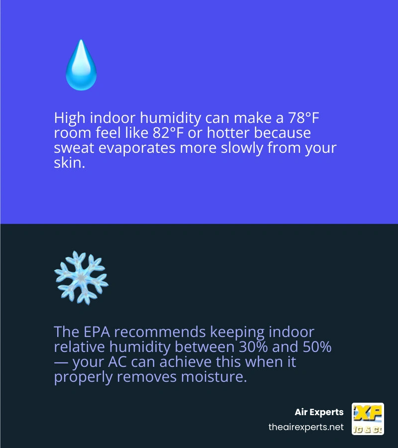 Infographic showing indoor heat index and perceived temperature at different humidity levels infographic Infographic showing indoor heat index and perceived temperature at different humidity levels infographic