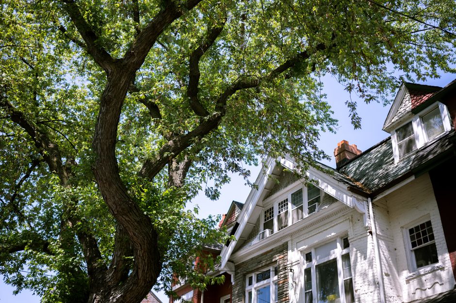How Shade, Insulation, and Sealing Reduce Your AC Workload for Good