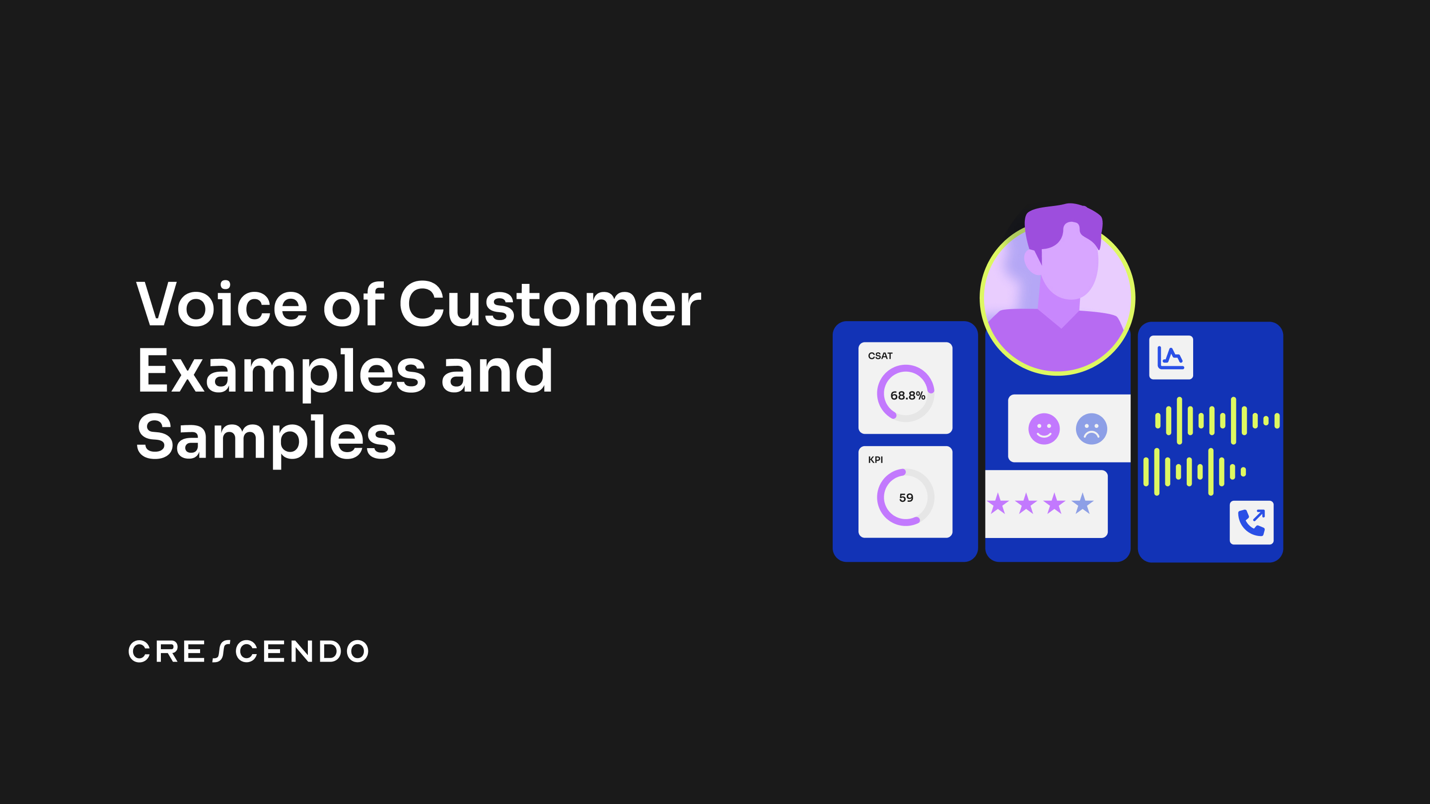 Voice of Customer Examples and Samples