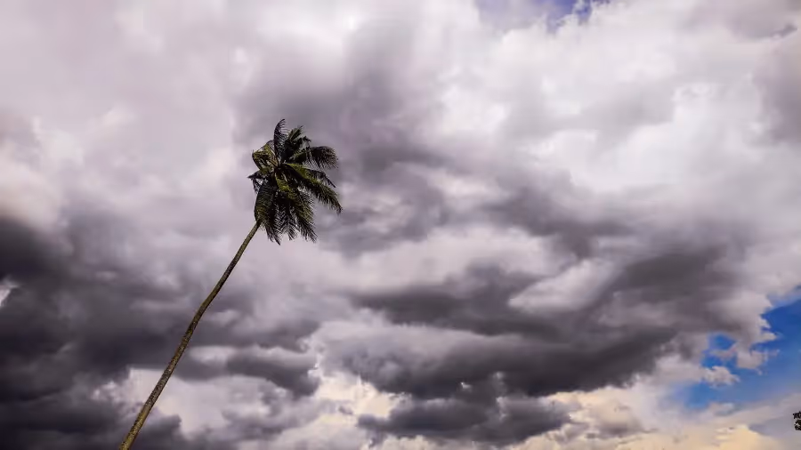 Secure Your Property Against Tornado and Wind Damage