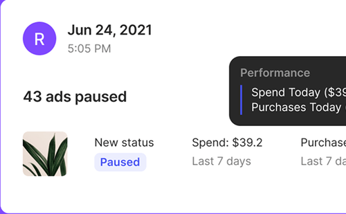 Auto logs interface Birch