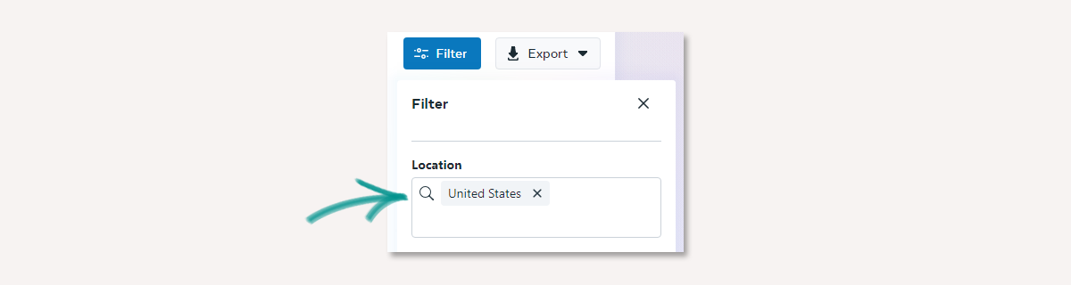 How to filter locations in Facebook Audience Insights