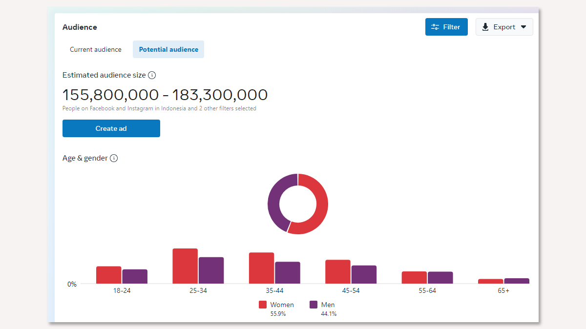 Facebook Audience Insights - Potential audience