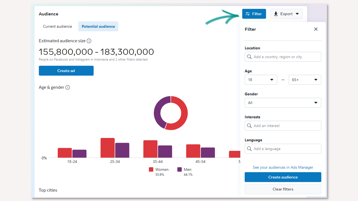 The basics of Facebook Audience Insights filters