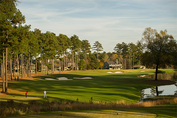Golf course with two golfers looking over vista