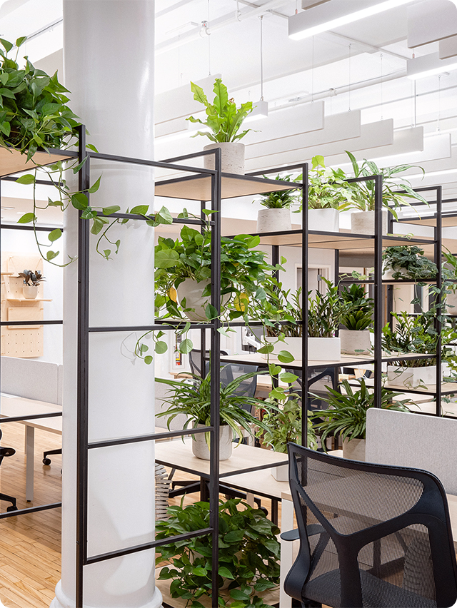 A custom-built 100-foot living wall serves as a biophilic centerpiece, bringing natural beauty while doubling as storage, privacy, and a divider that gives each portfolio company its own sense of place. 