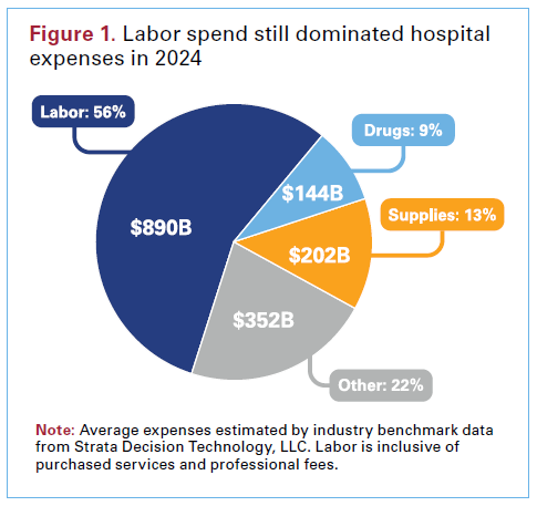 Breakdown of hospital expense categories with labor as the largest cost area.
