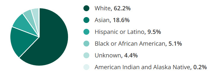 Breakdown of racial and ethnic representation among U.S. healthcare professionals.