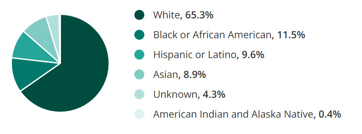 Racial and ethnic composition of the U.S. nursing workforce across key groups.