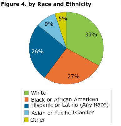 Racial and ethnic representation of individuals across selected demographic groups