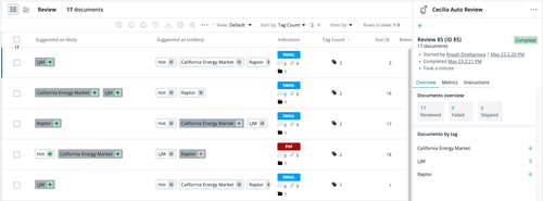 Screenshot of early case assessment (ECA) tools in DISCO