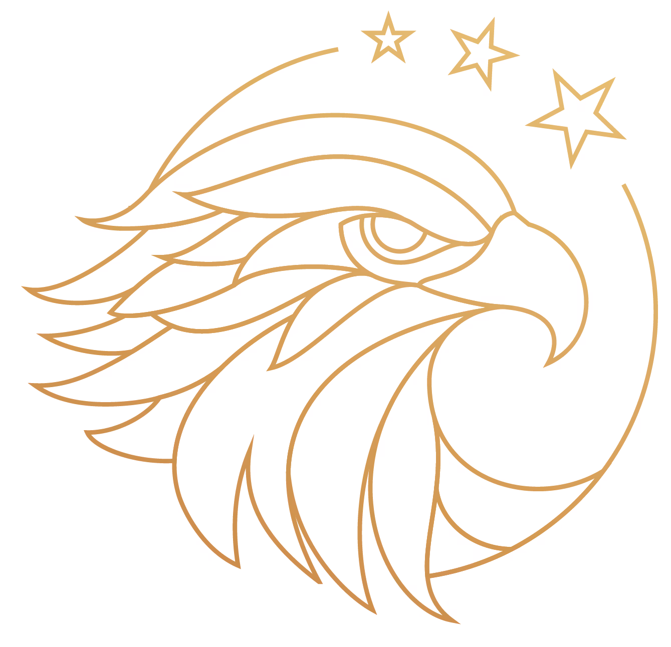 Outline of RGG Eagle