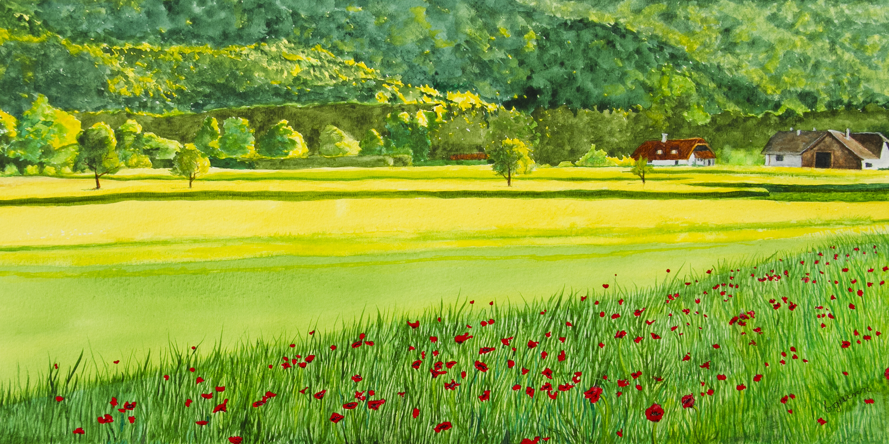 Poppy Field Remembrance by Becky Guinn