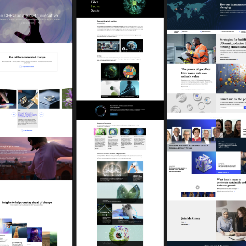 Collage of examples from conservative sites.