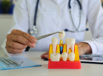 Meliora Dental