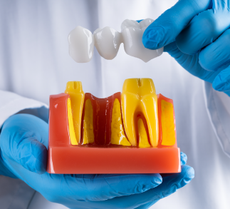 Schaumburg Dental Studio