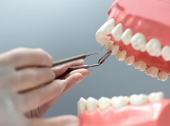 Meliora Dental