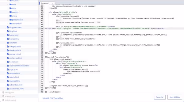 Adding a script code to home.html on the BigCommerce editor