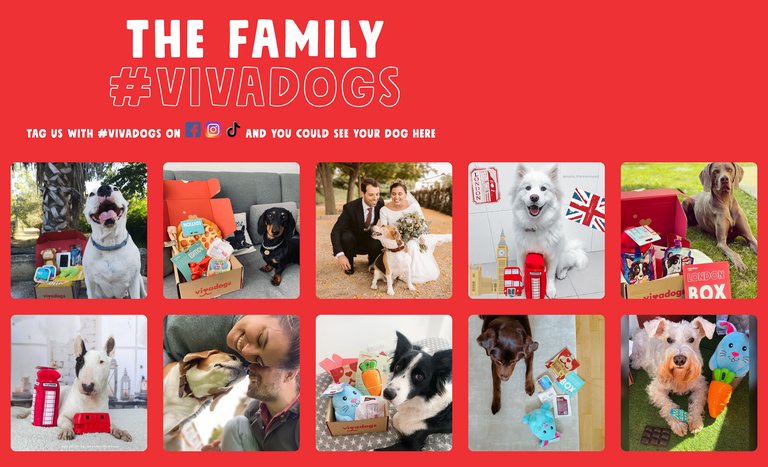 User-Generated Content auf der Vivadogs-Webseite