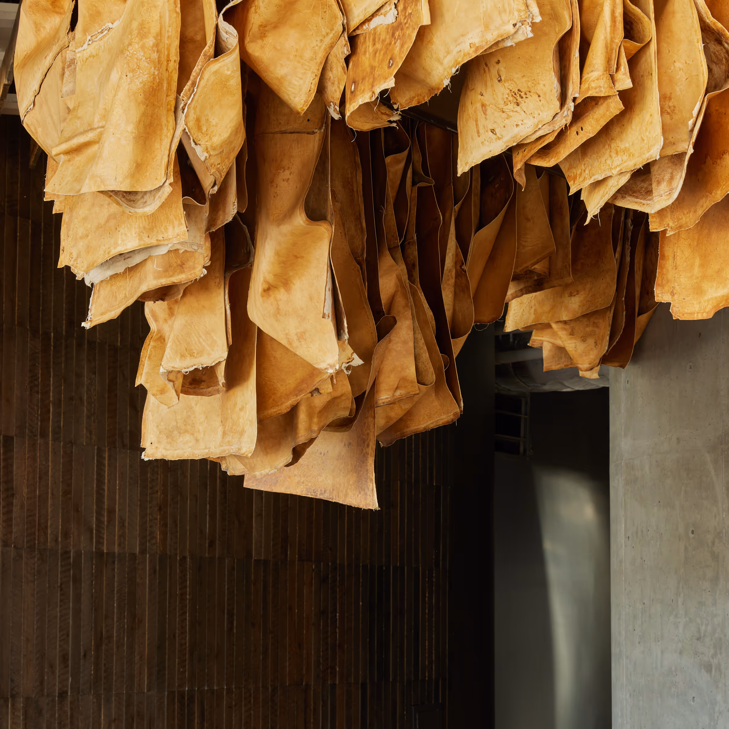 2025 Dezeen Awards Longlist Finalist