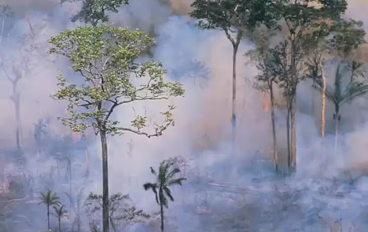 Forêt tropicale en feu, illustrant la déforestation et les impacts environnementaux liés aux incendies en Amazonie. Forêt tropicale en feu, illustrant la déforestation et les impacts environnementaux liés aux incendies en Amazonie.