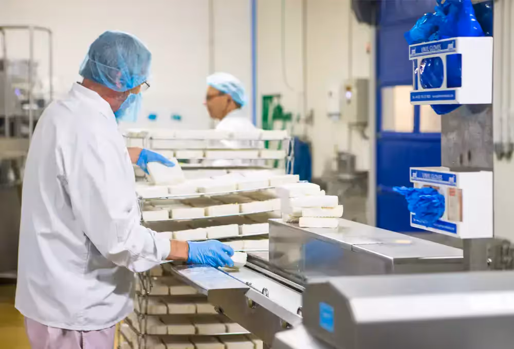 Travailleur en blouse blanche et charlotte manipulant des blocs de fromage sur une ligne de production dans une usine agroalimentaire, illustrant le processus de transformation fromagère en environnement contrôlé.