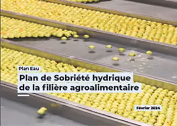 Image d'un convoyeur rempli de pommes vertes avec texte "Plan de Sobriété hydrique de la filière agroalimentaire – Février 2024"