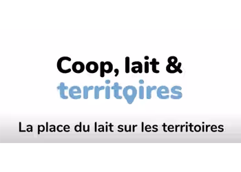 Coop, lait & territoires : visuel sur fond blanc avec texte noir et bleu mettant en lumière le rôle du lait dans les territoires.