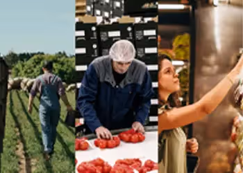 Montage visuel représentant différentes étapes de la chaîne agricole, de la production à la distribution.