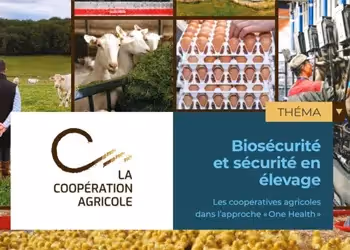 Visuel promotionnel sur la biosécurité en élevage, mettant en avant les pratiques des coopératives agricoles dans le cadre de l'approche "One Health".