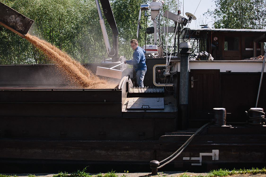 Deux agriculteurs examinant des grains dans un champ de blé sous un ciel dégagé, portant des vêtements aux couleurs de leur coopérative.