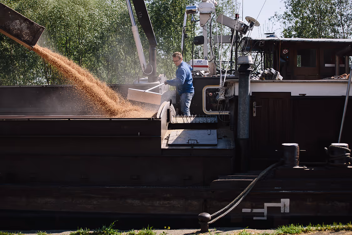 Deux agriculteurs examinant des grains dans un champ de blé sous un ciel dégagé, portant des vêtements aux couleurs de leur coopérative.