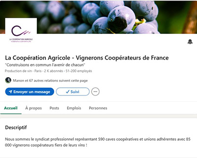 Aperçu de la page LinkedIn de La Coopération Agricole – Vignerons Coopérateurs de France, réseau professionnel et actualités du secteur viticole coopératif.