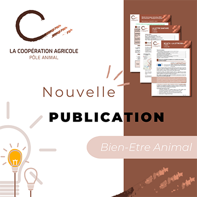 Couverture d’une publication du Pôle animal dédiée aux ressources en bien-être animal, avec illustrations graphiques et documents en arrière-plan
