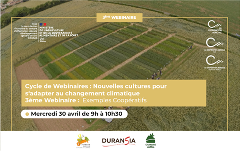 Annonce du 3ᵉ webinaire sur les nouvelles cultures face au changement climatique, sur fond de parcelles agricoles vues du ciel.