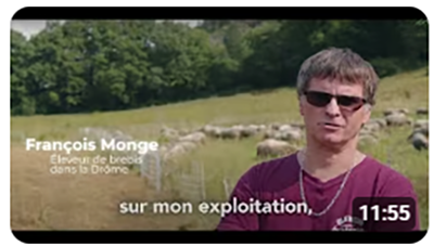 Capture d’écran d’une vidéo témoignage de François Monge, éleveur de brebis dans la Drôme, parlant de son exploitation agricole avec un troupeau en arrière-plan.