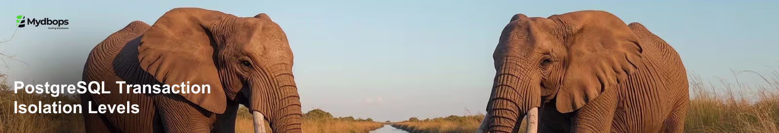 PostgreSQL Transaction Isolation Levels Explained | PostgreSQL — Mydbops