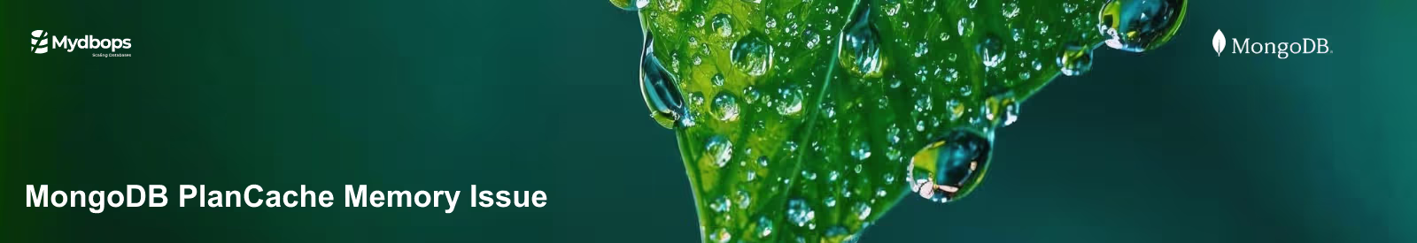 MongoDB PlanCache Memory Issue: Debugging & Fix | MongoDB — Mydbops