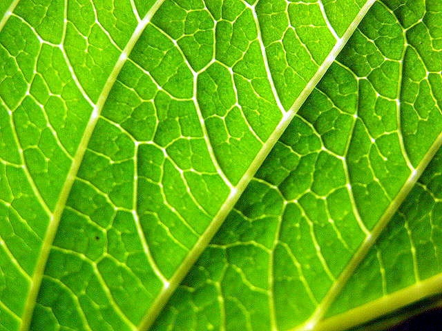 MongoDB Index Usage Analysis | MongoDB — Mydbops