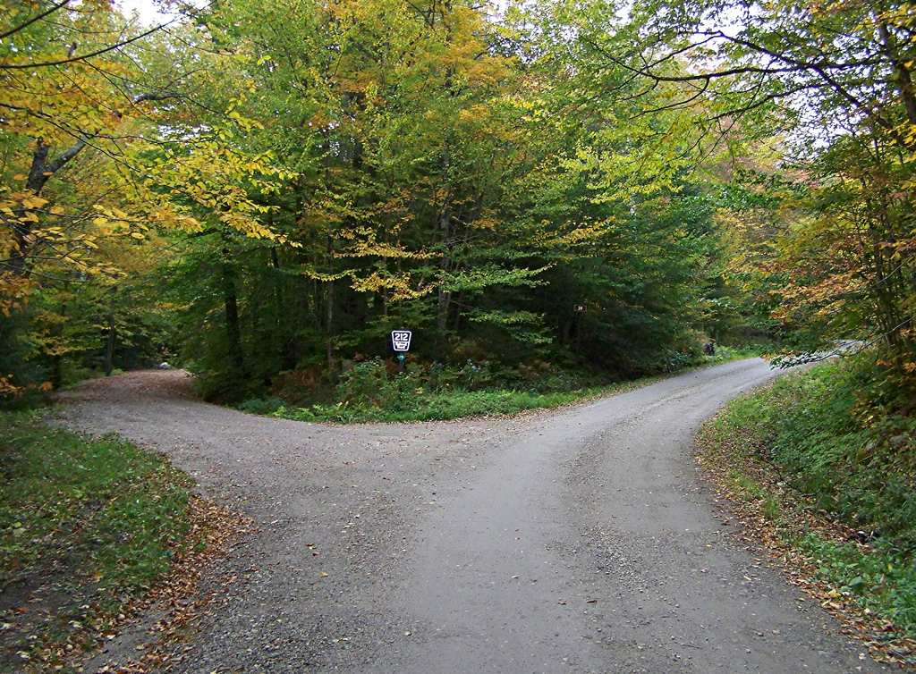 ProxySQL Series: MySQL Replication Read-write Split up. | MySQL — Mydbops