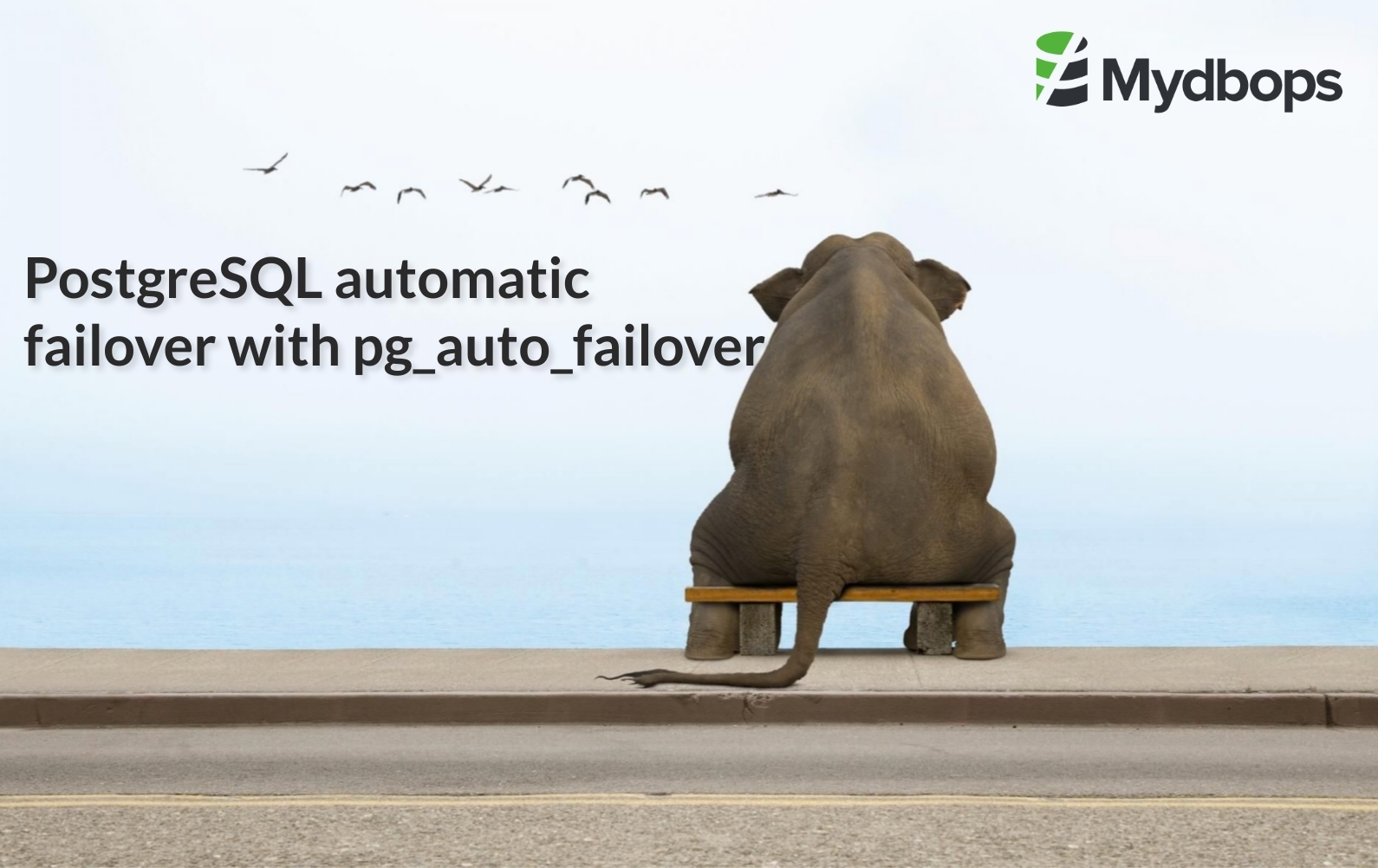 PostgreSQL automatic failover with pg_auto_failover | PostgreSQL — Mydbops