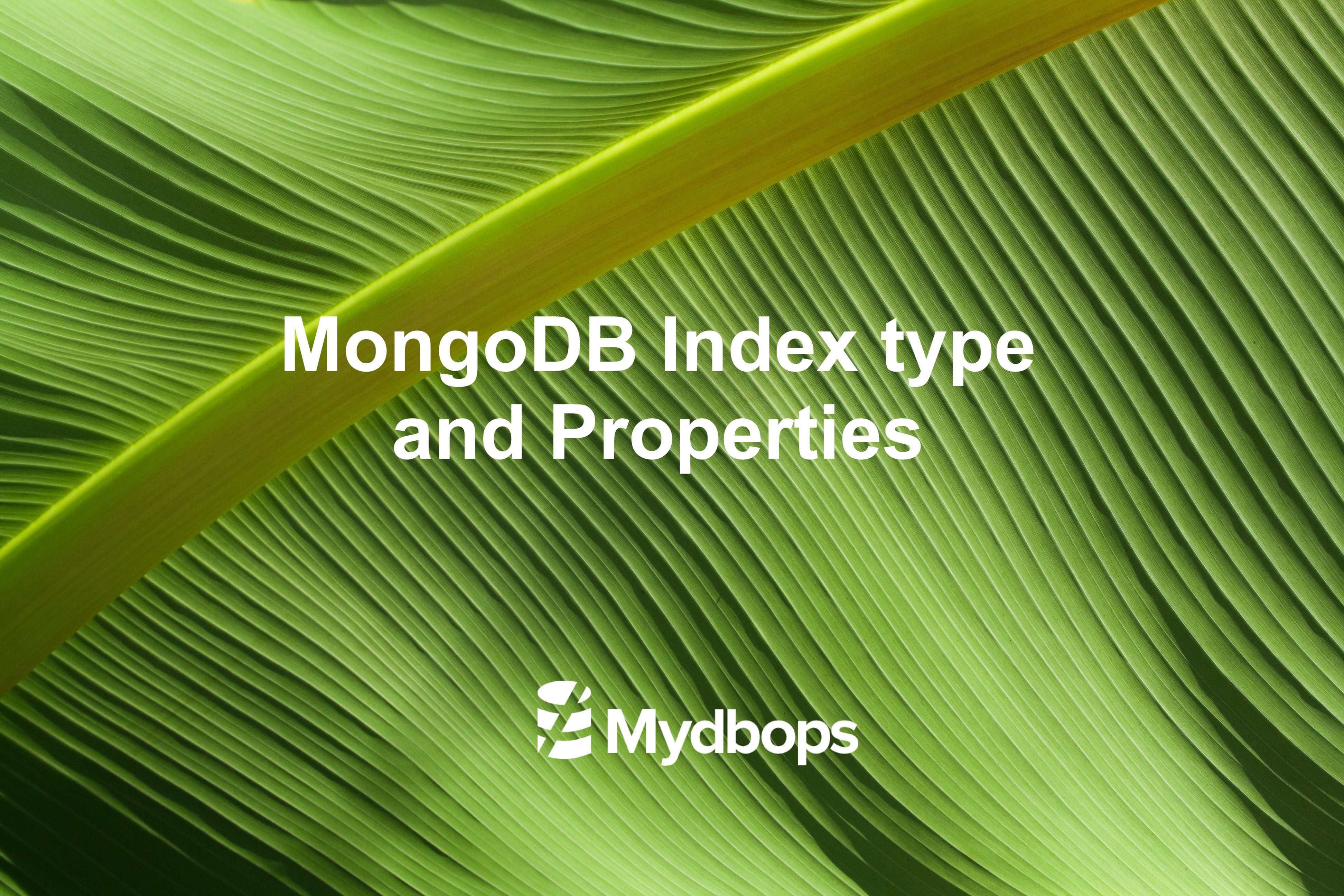 MongoDB Index type and Properties (Series 2) | MongoDB — Mydbops