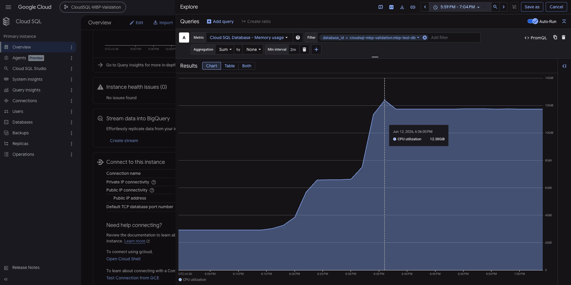 Memory Usage During Workload Execution