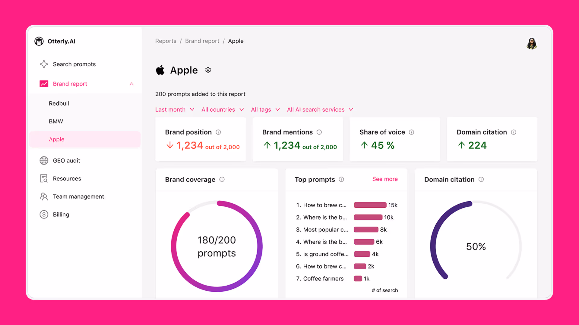 AI Search Monitoring tool: Brand Reporting